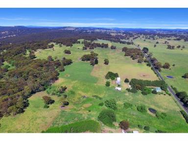 Farm Sold - NSW - Black Mountain - 2365 - First time offered for sale  (Image 2)