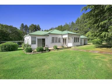 Farm Sold - NSW - Black Mountain - 2365 - First time offered for sale  (Image 2)