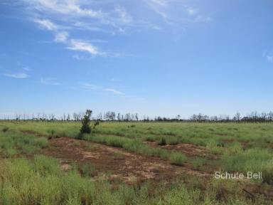 Farm Sold - NSW - Bourke - 2840 - Over 1km of river frontage  (Image 2)