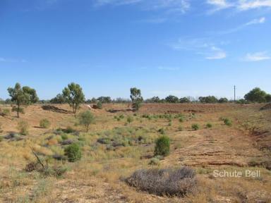 Farm Sold - NSW - Bourke - 2840 - Over 1km of river frontage  (Image 2)