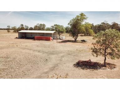Farm Sold - NSW - Trangie - 2823 - Arable fertile soils  (Image 2)