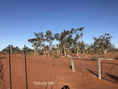 Farm Sold - QLD - Cunnamulla - 4490 - Great starter block  (Image 2)