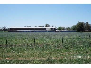 Farm Sold - NSW - Narromine - 2821 - Like to Build?  (Image 2)