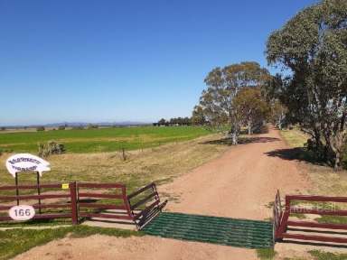 Farm Sold - NSW - Narromine - 2821 - Lifestyle and Income  (Image 2)