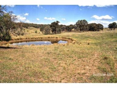 Farm Sold - NSW - Biala - 2581 - Grazing Property with Plant & Equipment included  (Image 2)