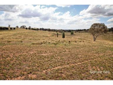 Farm Sold - NSW - Biala - 2581 - Grazing Property with Plant & Equipment included  (Image 2)
