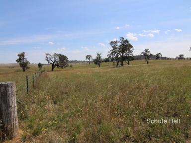 Farm Sold - NSW - Gunning - 2581 - Small block with large potential  (Image 2)