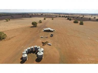 Farm Sold - NSW - Narromine - 2821 - Premier Red Kurrajong Country  (Image 2)