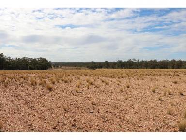 Farm Sold - NSW - Tullamore - 2874 - Rain / Growth / Feed / Production  (Image 2)