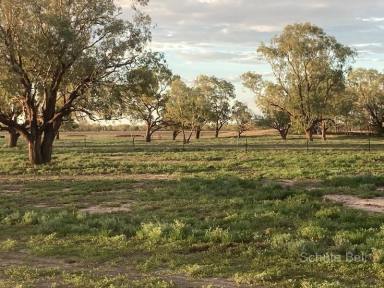 Farm Sold - NSW - Bourke - 2840 - Western NSW Beef Production with Scale & Security  (Image 2)