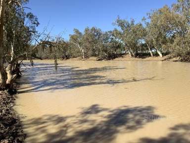 Farm Sold - NSW - Bourke - 2840 - Stop Paying Agistment  (Image 2)