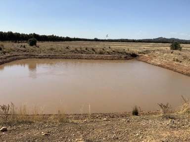 Farm Sold - NSW - Tomingley - 2869 - 80% Arable  (Image 2)