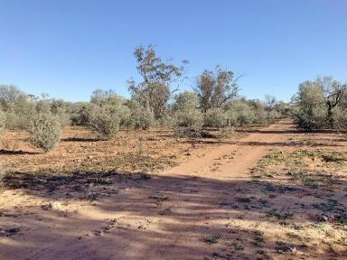 Farm Sold - QLD - Wyandra - 4489 - Ready to generate an income  (Image 2)