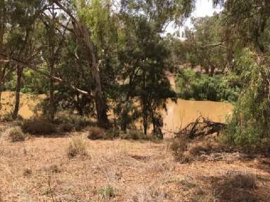 Farm Sold - NSW - Narromine - 2821 - Build your dream home and enjoy the river views.  (Image 2)