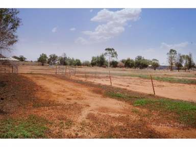 Farm Sold - NSW - Narromine - 2821 - Acreage on the edge of town  (Image 2)