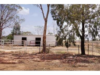 Farm Sold - NSW - Narromine - 2821 - Acreage on the edge of town  (Image 2)