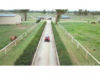 Farm Sold - NSW - Tamworth - 2340 - Premium Equine Breeding, Spelling & Training Establishment  (Image 2)