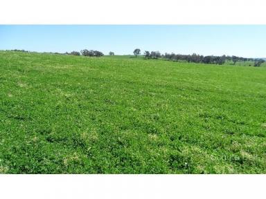 Farm Sold - NSW - Bathurst - 2795 - Prime Location, Improvements and Pastures  (Image 2)