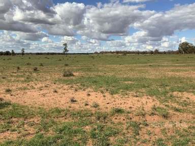 Farm Sold - NSW - Albert - 2873 - Potential Plus  (Image 2)