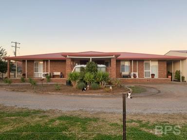 Farm Sold - NSW - Manilla - 2346 - Water, Lucerne, 2 Houses, Equine Facilities & Fishing to boot!!  (Image 2)