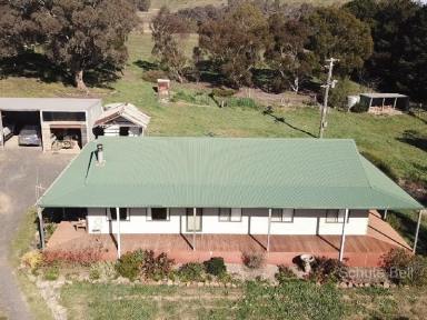 Farm Sold - NSW - Blayney - 2799 - High Places  (Image 2)