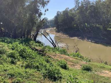 Farm Sold - NSW - Narromine - 2821 - 90% Arable with 1.7 km River Frontage  (Image 2)