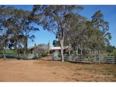 Farm Sold - NSW - Narromine - 2821 - Acres of Freedom  (Image 2)