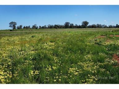 Farm Sold - NSW - Narromine - 2821 - Acres of Freedom  (Image 2)