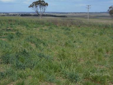 Farm Sold - NSW - Uralla - 2358 - Choice location with excellent water  (Image 2)