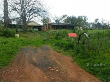 Farm Sold - NSW - Narromine - 2821 - One worth your consideration  (Image 2)