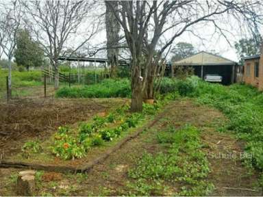 Farm Sold - NSW - Narromine - 2821 - One worth your consideration  (Image 2)