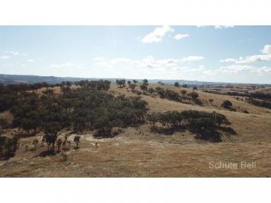Farm Sold - QLD - Stanthorpe - 4380 - Value grazing country  (Image 2)