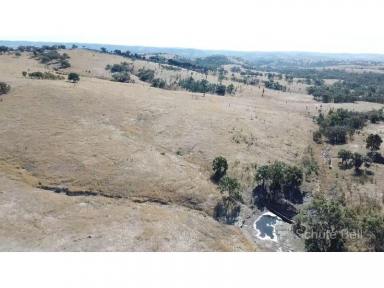 Farm Sold - QLD - Stanthorpe - 4380 - Value grazing country  (Image 2)