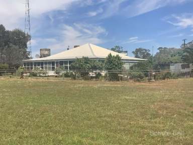 Farm Sold - NSW - Albert - 2873 - Excellent improvements on a small holding  (Image 2)