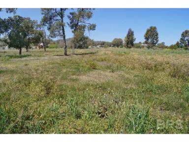 Farm Sold - NSW - Moore Creek - 2340 - Lovely 6ac's, Ideal location, DA, Smart buying  (Image 2)