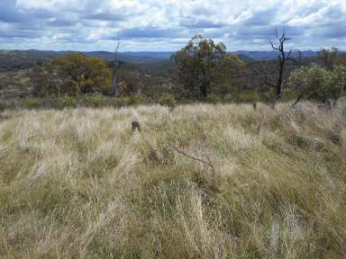 Farm Sold - NSW - Emmaville - 2371 - Subdivision potential  (Image 2)