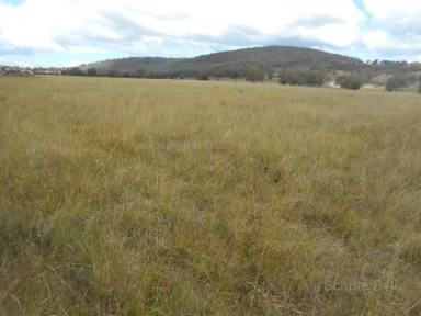 Farm Sold - NSW - Emmaville - 2371 - Subdivision potential  (Image 2)