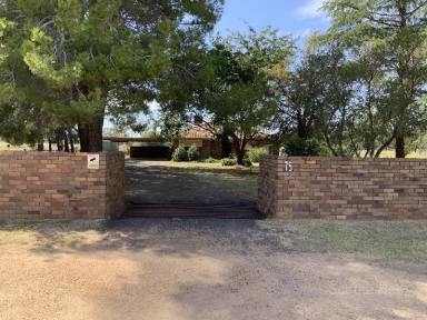 Farm Sold - NSW - Narromine - 2821 - Town living with country aspect  (Image 2)