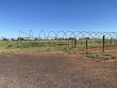 Farm Sold - NSW - Bourke - 2840 - Time for a new adventure?  (Image 2)