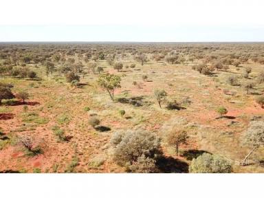 Farm Sold - NSW - Bourke - 2840 - Excellent value grazing breeding country  (Image 2)