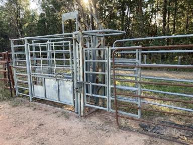 Farm Sold - NSW - Tomingley - 2869 - The Spring Paddock  (Image 2)
