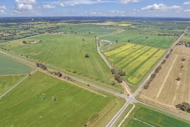 Farm For Sale - VIC - Rochester - 3561 - 73 Stone Rd 294 Lowe Rd  (Image 2)