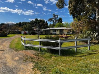 Farm For Sale - VIC - Rochester - 3561 - 73 Stone Rd 294 Lowe Rd  (Image 2)
