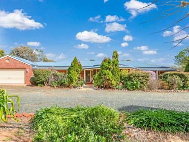 Farm Sold - VIC - Echuca - 3564 - A Gorgeous Lifestyle Property Oozing with Charm  (Image 2)
