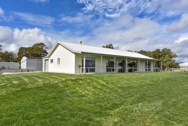 Farm Sold - SA - Naracoorte - 5271 - Impressive on Arrival, Modern Contemporary  - Approx 5 Acres  (Image 2)