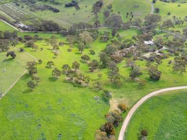 Farm Sold - SA - Angaston - 5353 - 20 acre property within the township of Angaston  (Image 2)