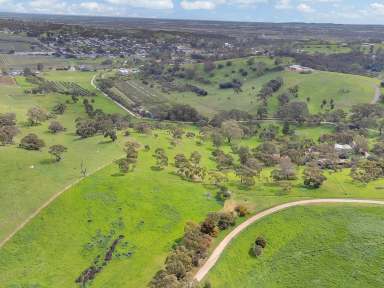 Farm Sold - SA - Angaston - 5353 - 20 acre property within the township of Angaston  (Image 2)