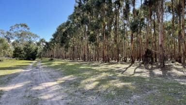 Farm Sold - SA - Coonawarra - 5263 - What a great project! Lot 80, 81 Old Comaum Road, Coonawarra  (Image 2)
