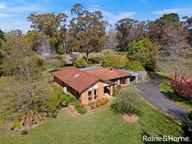 Farm Sold - NSW - Colo Vale - 2575 - Come & Live the Highlands Dream!  (Image 2)