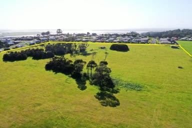 Farm Sold - TAS - Smithton - 7330 - Huge Development Potential for House Blocks of Land  (Image 2)